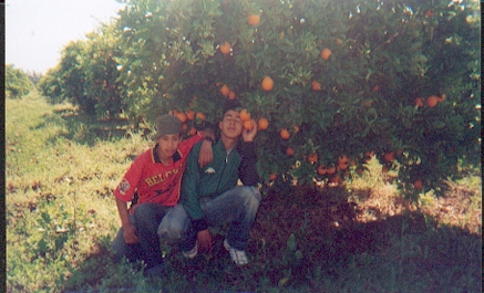 mes  amis  omar  et ali